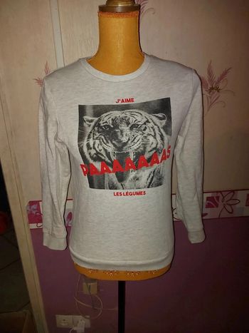 Pull Tigre 🐅
