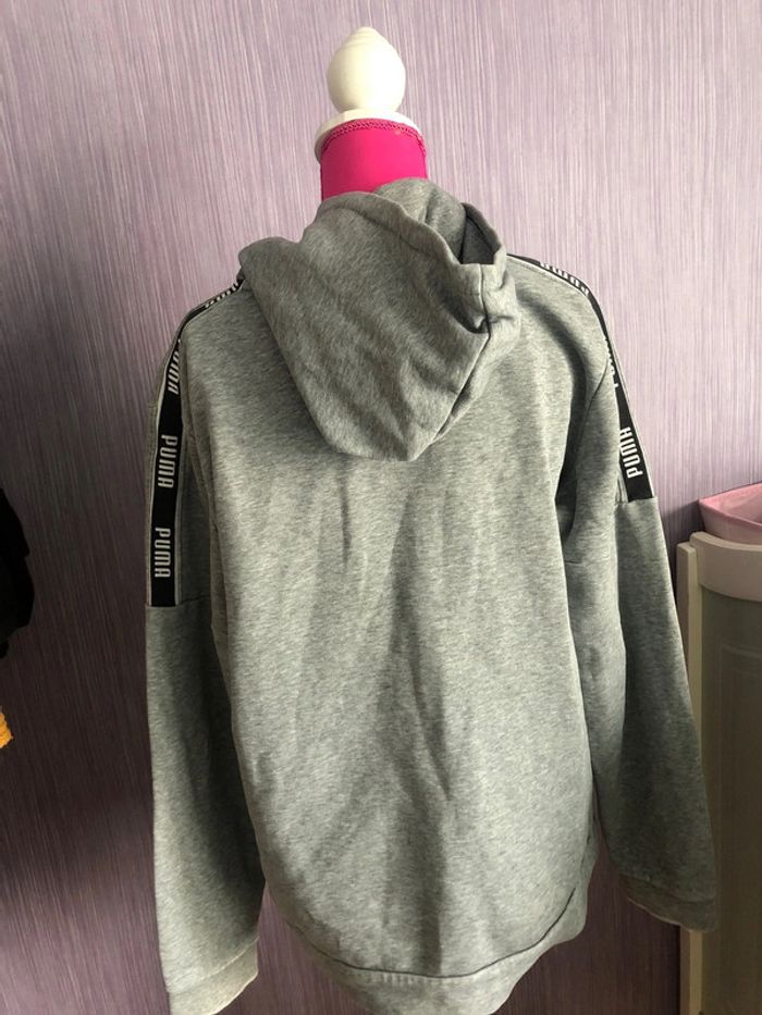 Pull puma - photo numéro 5