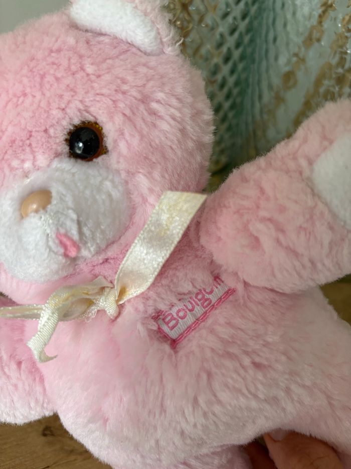 Ours Boulgom - photo numéro 6