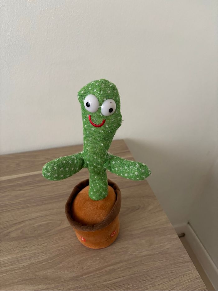 Cactus