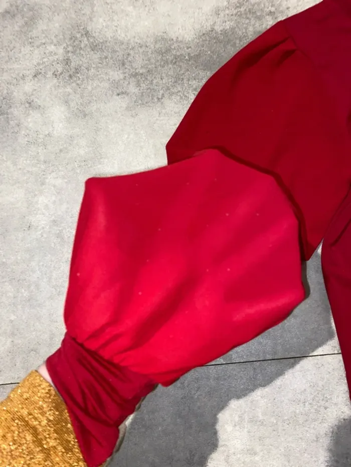 Robe bordeaux longue - photo numéro 5