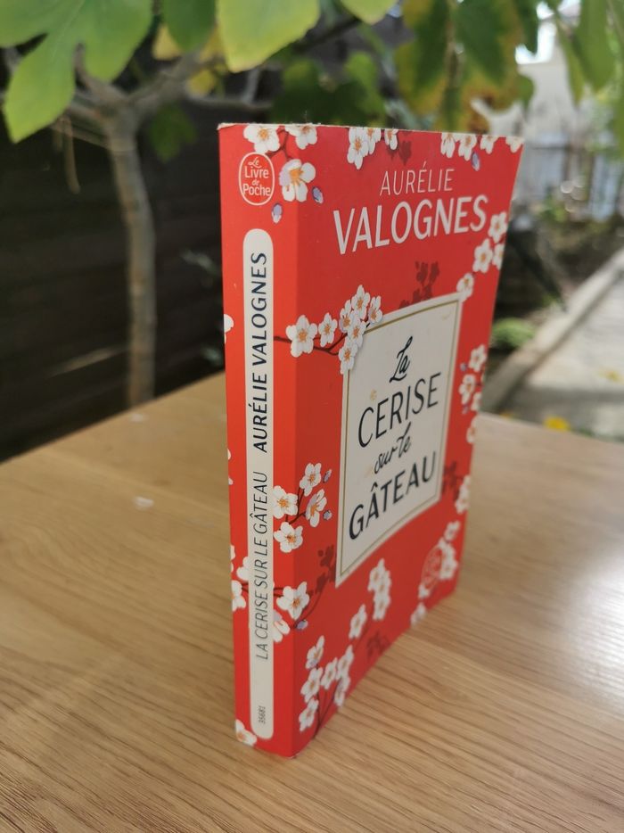 La cerise sur le gâteau. Aurélie valognes - photo numéro 3