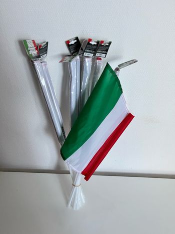 Lot 10 drapeaux Italie 30 x 45 cm avec la tige