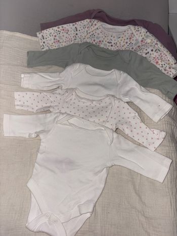 Lot bodies 