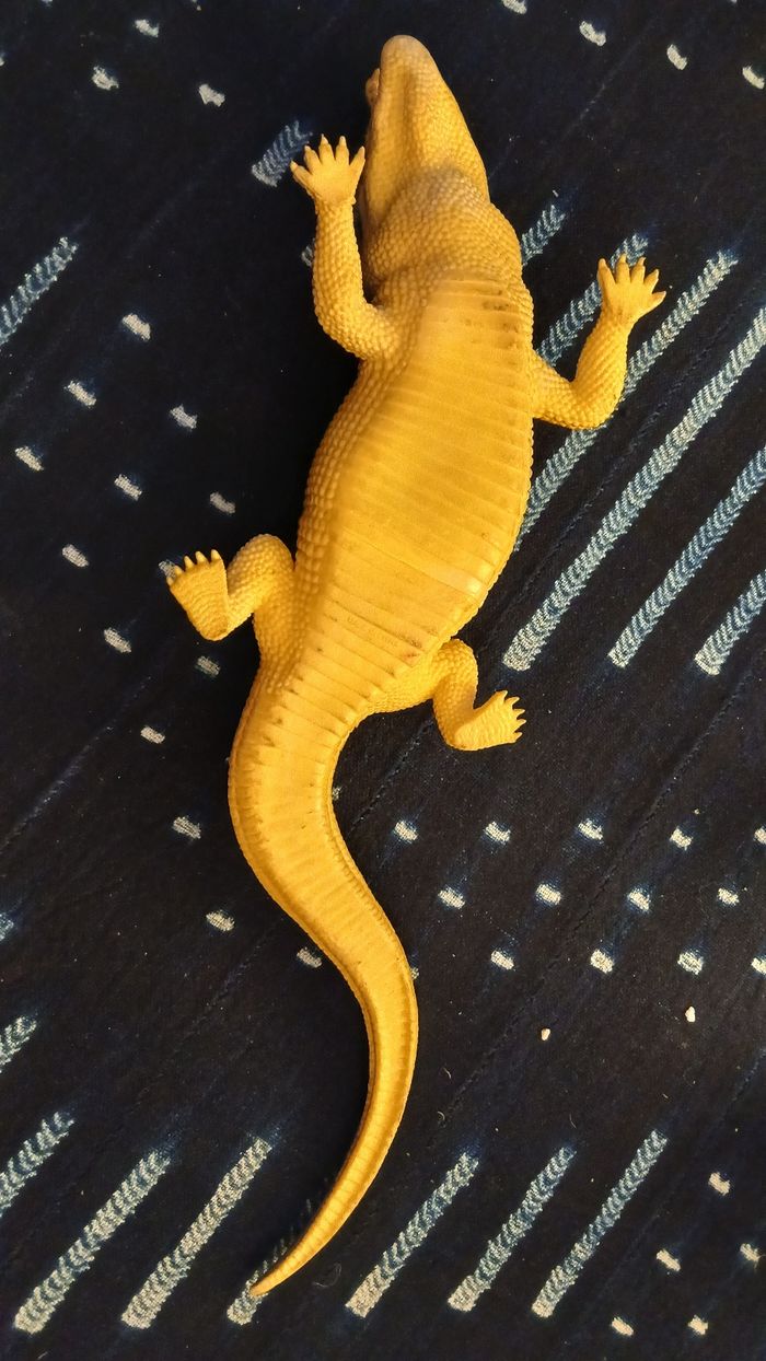 Crocodile géant en plastique - photo numéro 10