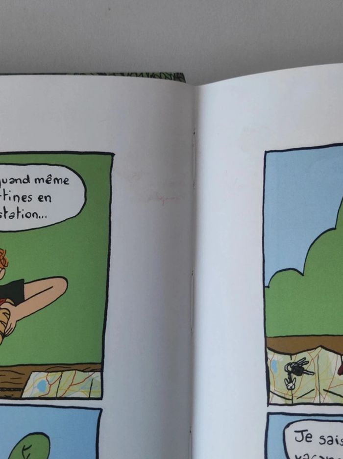 Livre BD Frangins - photo numéro 3