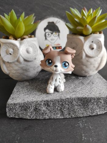 My Littlest Petshop LPS Dog Collie 67 Original Authentic #geektradelpschien