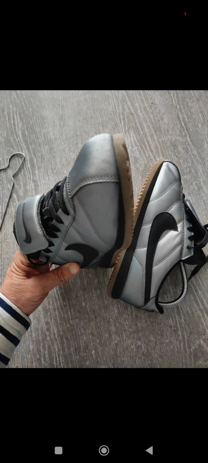 Cortez gris argenté - photo numéro 4