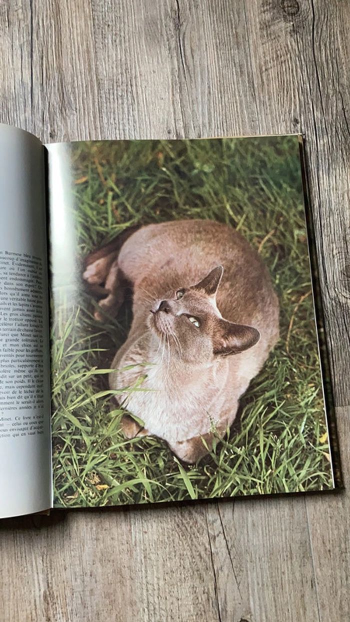 Livre relié Le Monde fascinant des chats - photo numéro 6