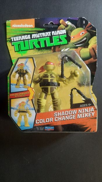 Teenage mutant ninja Turtles
