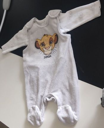 Ensemble simba