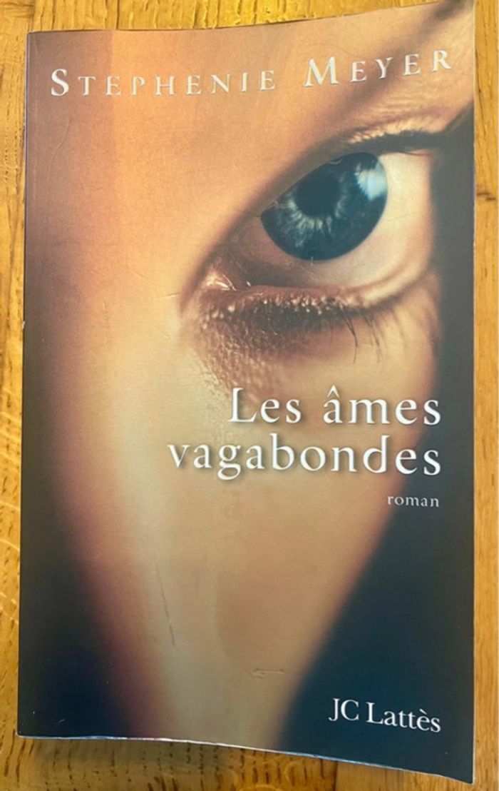 Livre les âmes vagabondes
