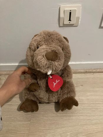 Peluche marmotte