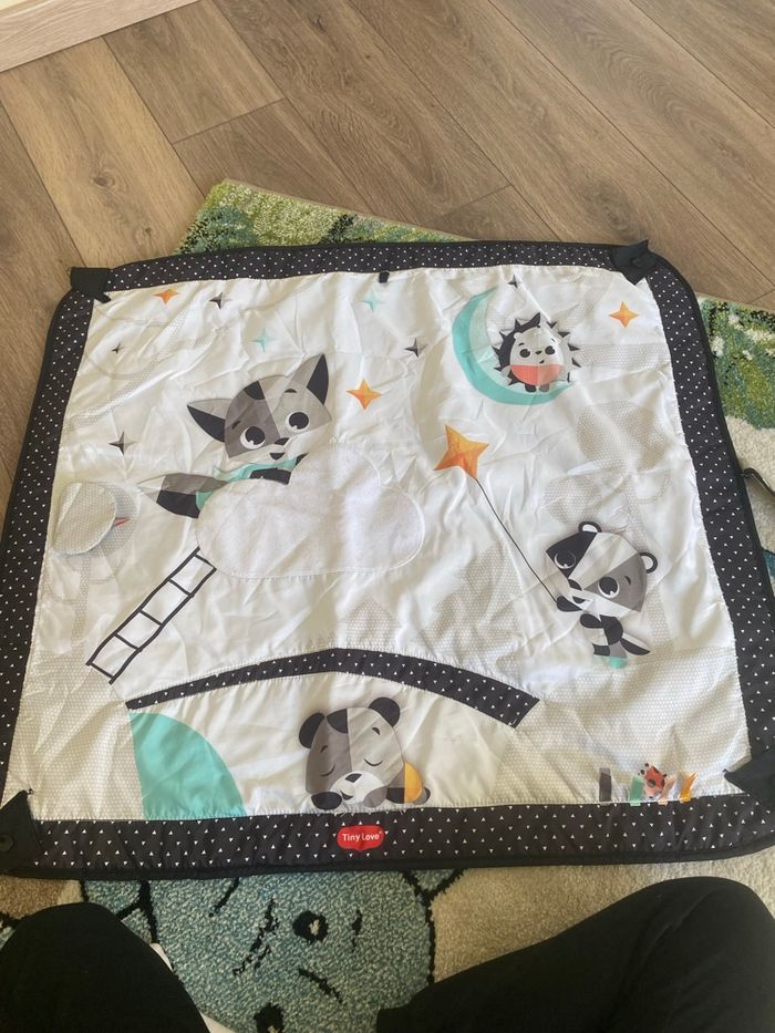Tapis d’éveil - photo numéro 3