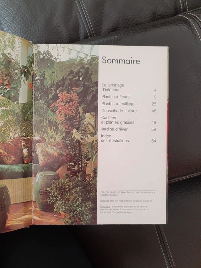 Livre " les plantes d'intérieur " collection Plaisir de voir - photo numéro 13