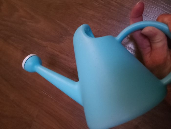 Arrosoir bleu - photo numéro 10