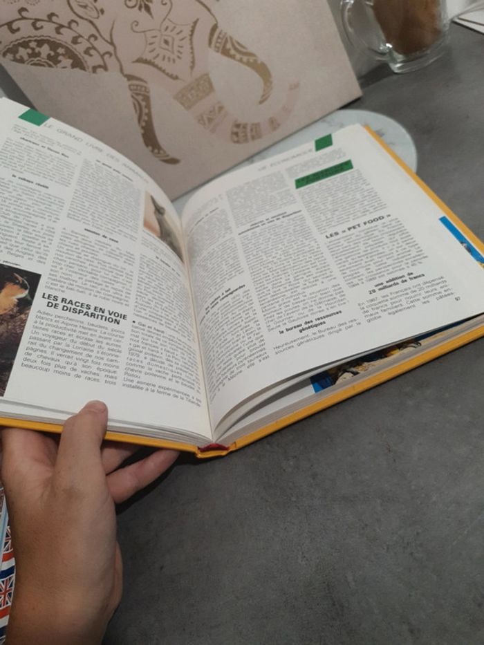 Animaux 1989 - photo numéro 2