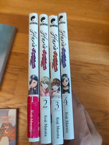 Hana l'inaccessible 4 tomes