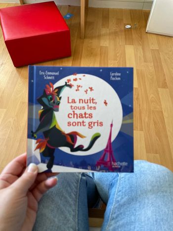 La nuit tous les chats sont gris