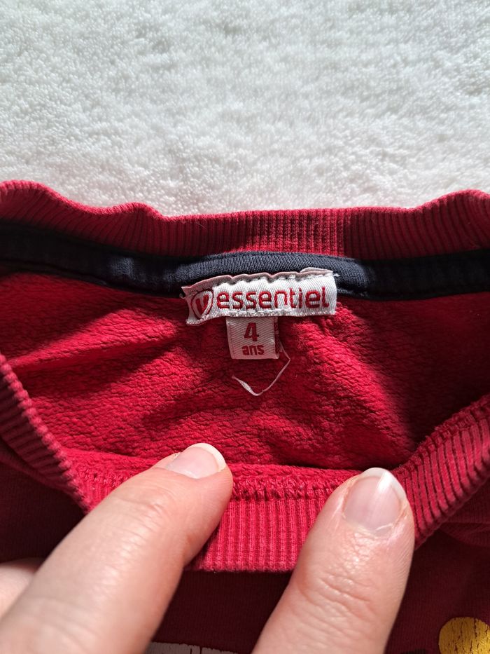 Pull taille 4 ans - photo numéro 3