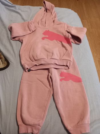 Ensemble puma