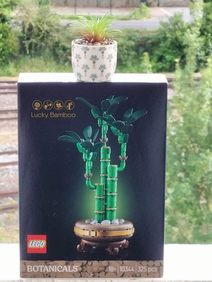 Lego bambou et Mini plante céramique
