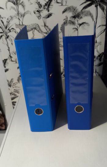Lot de 2 classeurs bleus