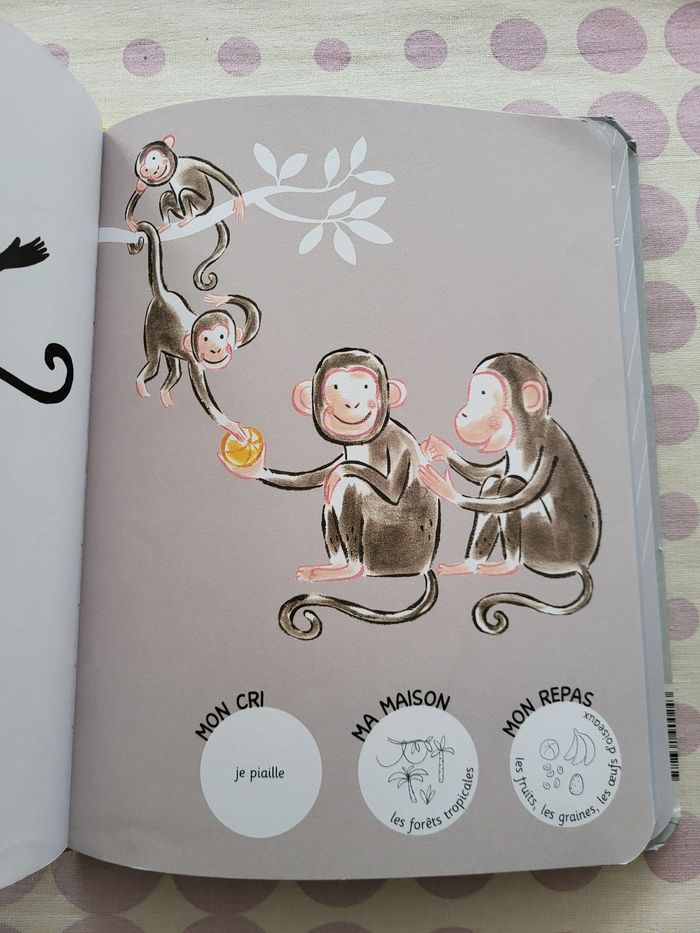 Livres enfant bébé - photo numéro 2