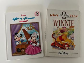 Livre Disney Winnie