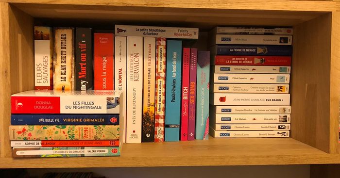 Livres: romans, thriller, fictions contemporaines