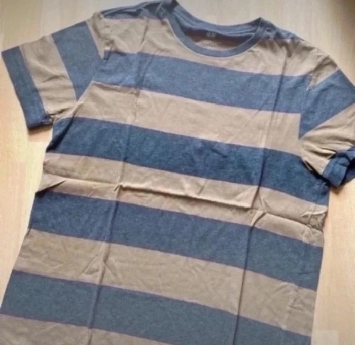 Lot tee shirts T-shirt taille M H&M et Cedar Wood State - photo numéro 4