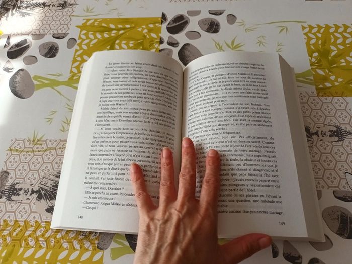 Livre : La baie aux perles de Roxane Dhand - photo numéro 8