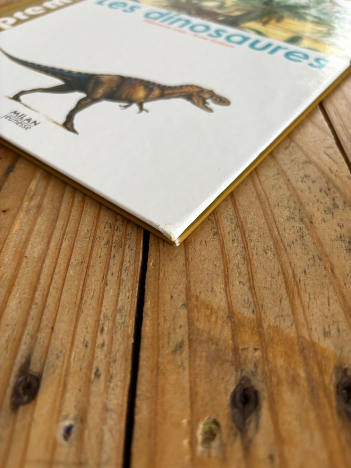Les dinosaures - photo numéro 2