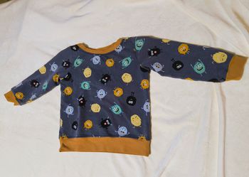 Sweat monstres poilus