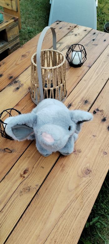 Peluche