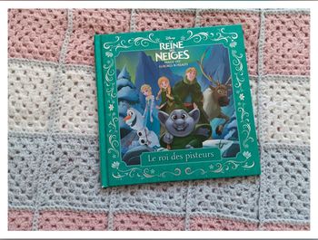 Livre la reine des neiges Magie des aurores boréales