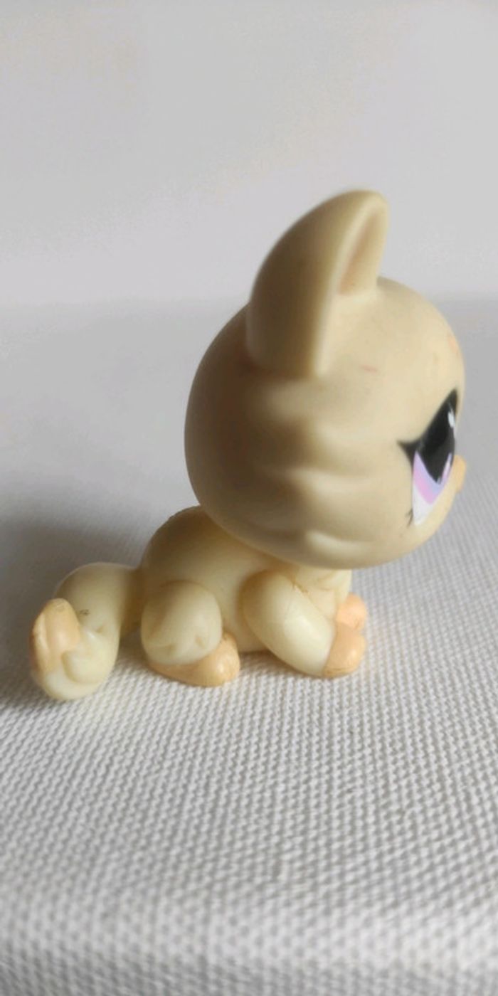 My littlest petshop chat sphynx 848 - photo numéro 3