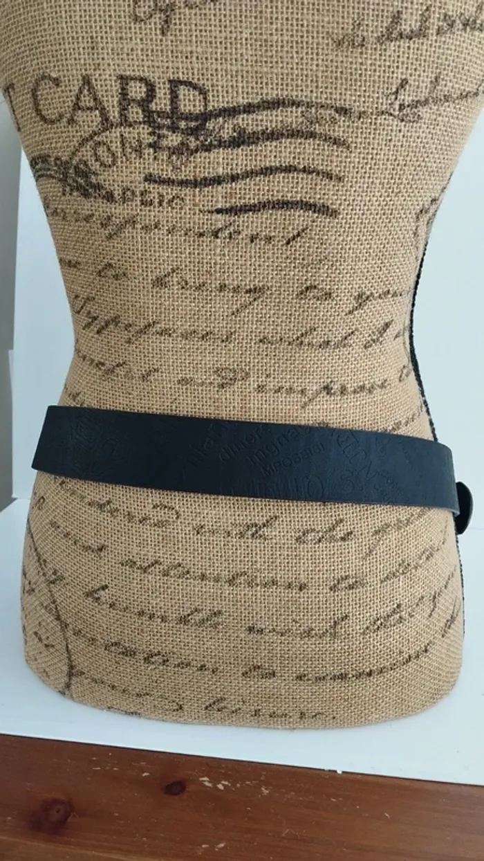 Ceinture noire boucle doré 95 cm femme - photo numéro 9