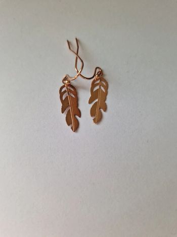 Boucles d'oreilles plume
