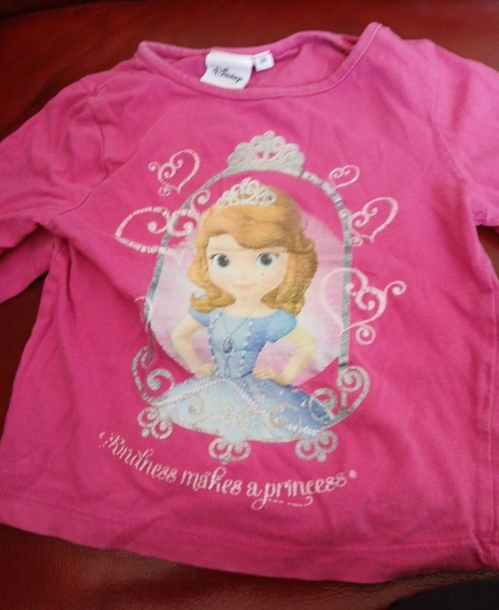 Tee-shirt princesse sofia - photo numéro 4