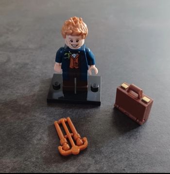 Lego harry potter animaux fantastique 71022 figurine norbert dragonneau
