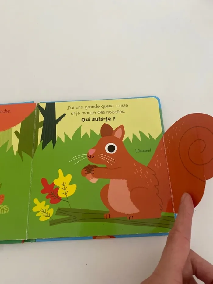 Livre Qui suis-je ? - photo numéro 4