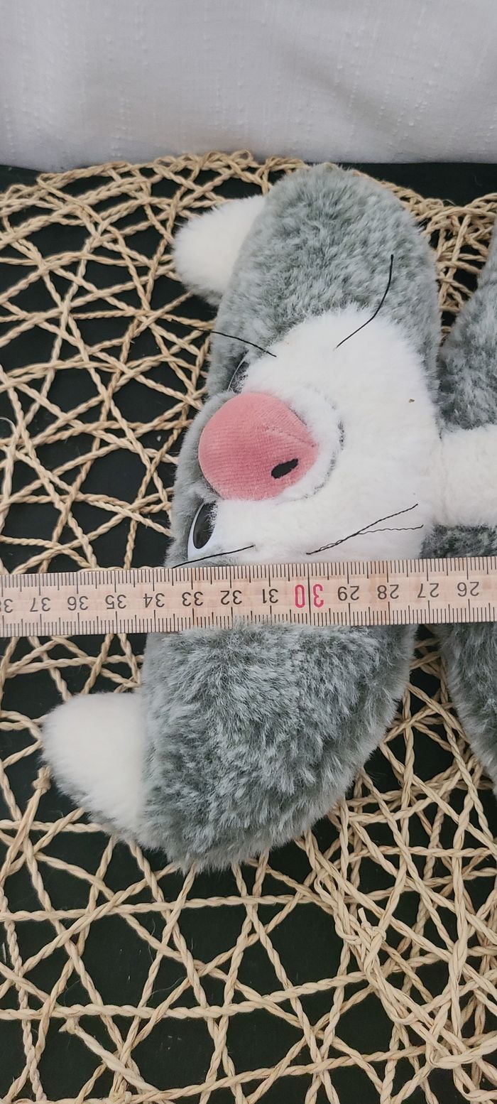 MOULIN ROTY CHAPLAPLA LE CHAT PLAT - photo numéro 2