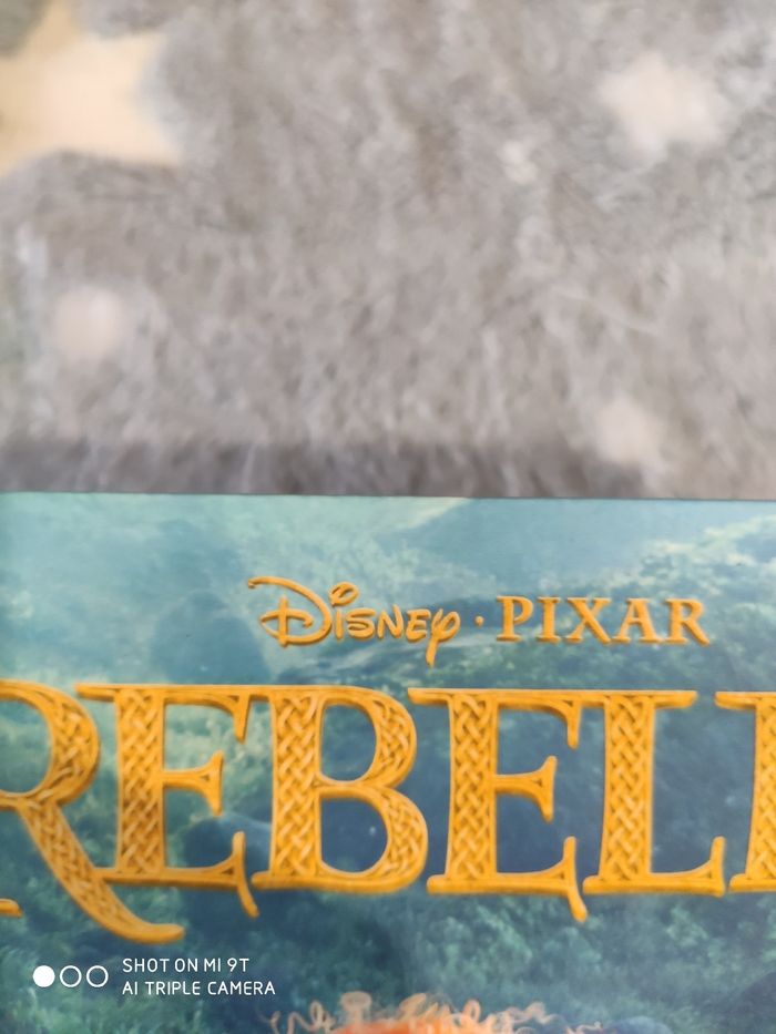 Livre de poche Disney : Rebelle - photo numéro 5