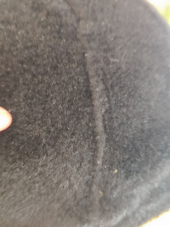 Minion Écossais en Peluche - Édition Limitée - photo numéro 5