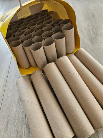 Lot 50 rouleau en carton