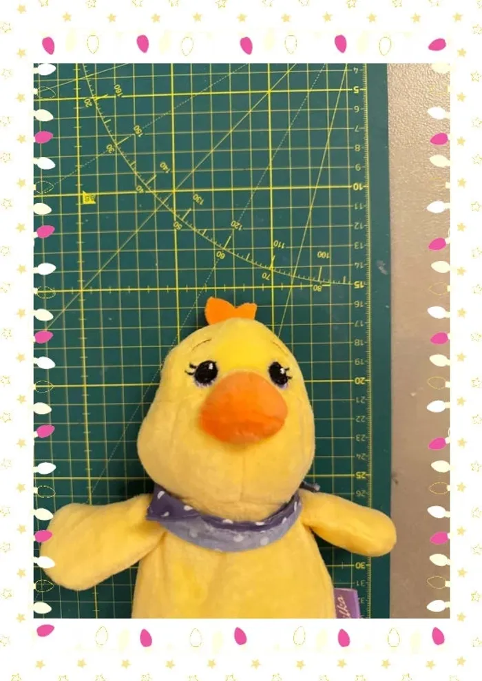 Canard milka - photo numéro 4