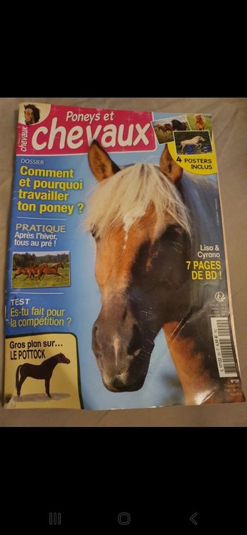 Poneys et chevaux n° 29