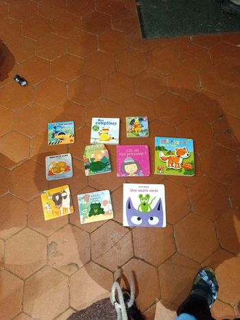 Lot 10 livres enfants