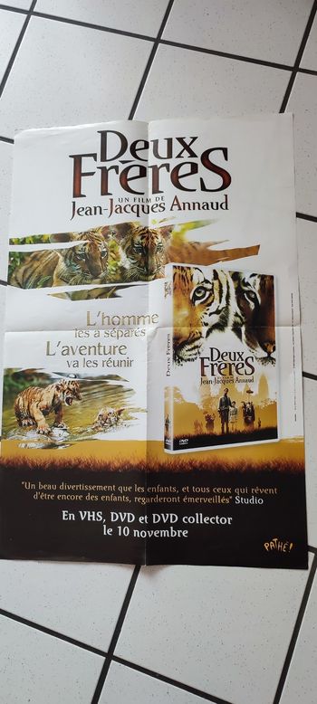 Affiche Deux frères